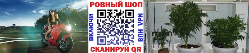 Купить закладку ЭКСТАЗИ APVP COCAIN Гашиш Псилоцибиновые грибы Меф Марихуана Беслан