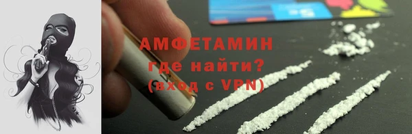 твердый Вяземский