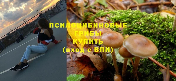 твердый Вяземский