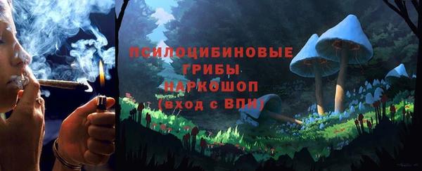 гидра Вязники