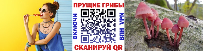 Купить закладки  Беслан  Псилоцибиновые грибы ЛСД 